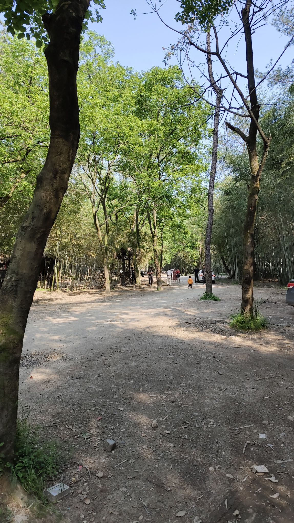 小竹林风景区旅行图片 3