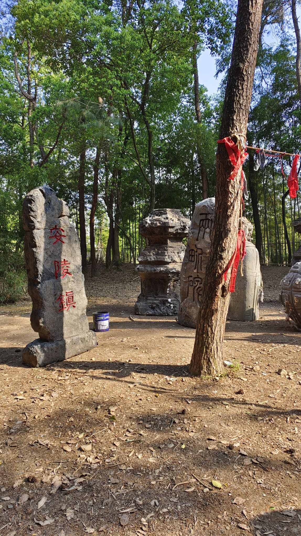 小竹林风景区旅行图片 2