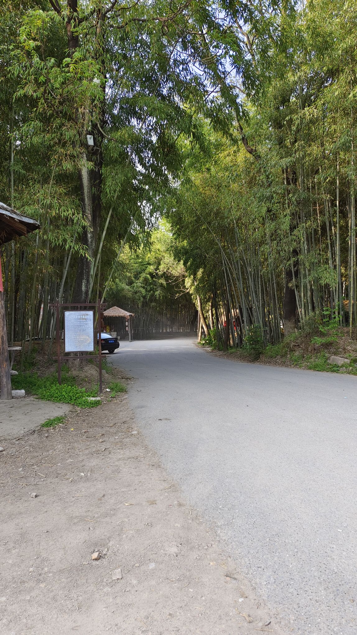 小竹林风景区旅行图片 2