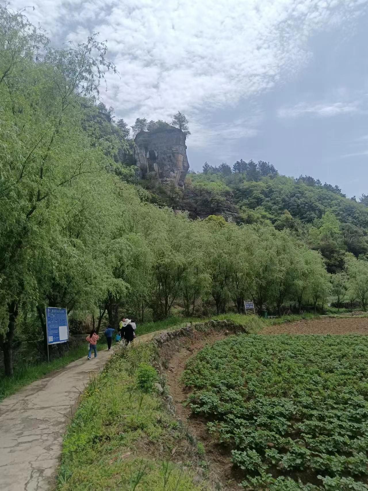 下水大佛旅行图片 2