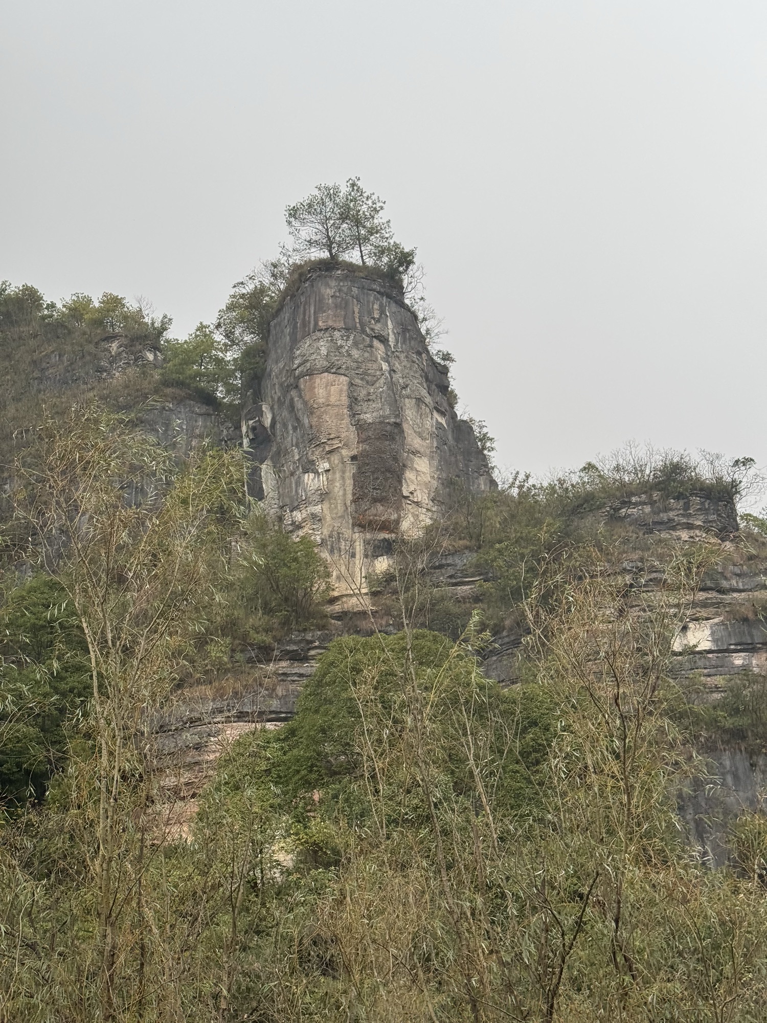 下水大佛旅行图片 3