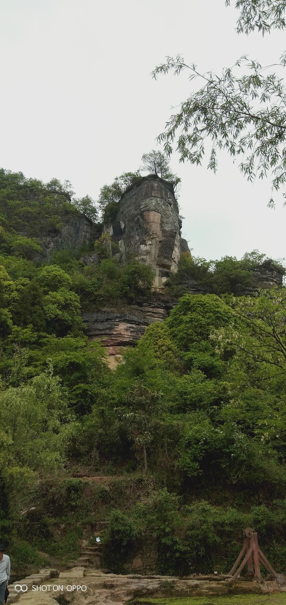 下水大佛旅行图片 3