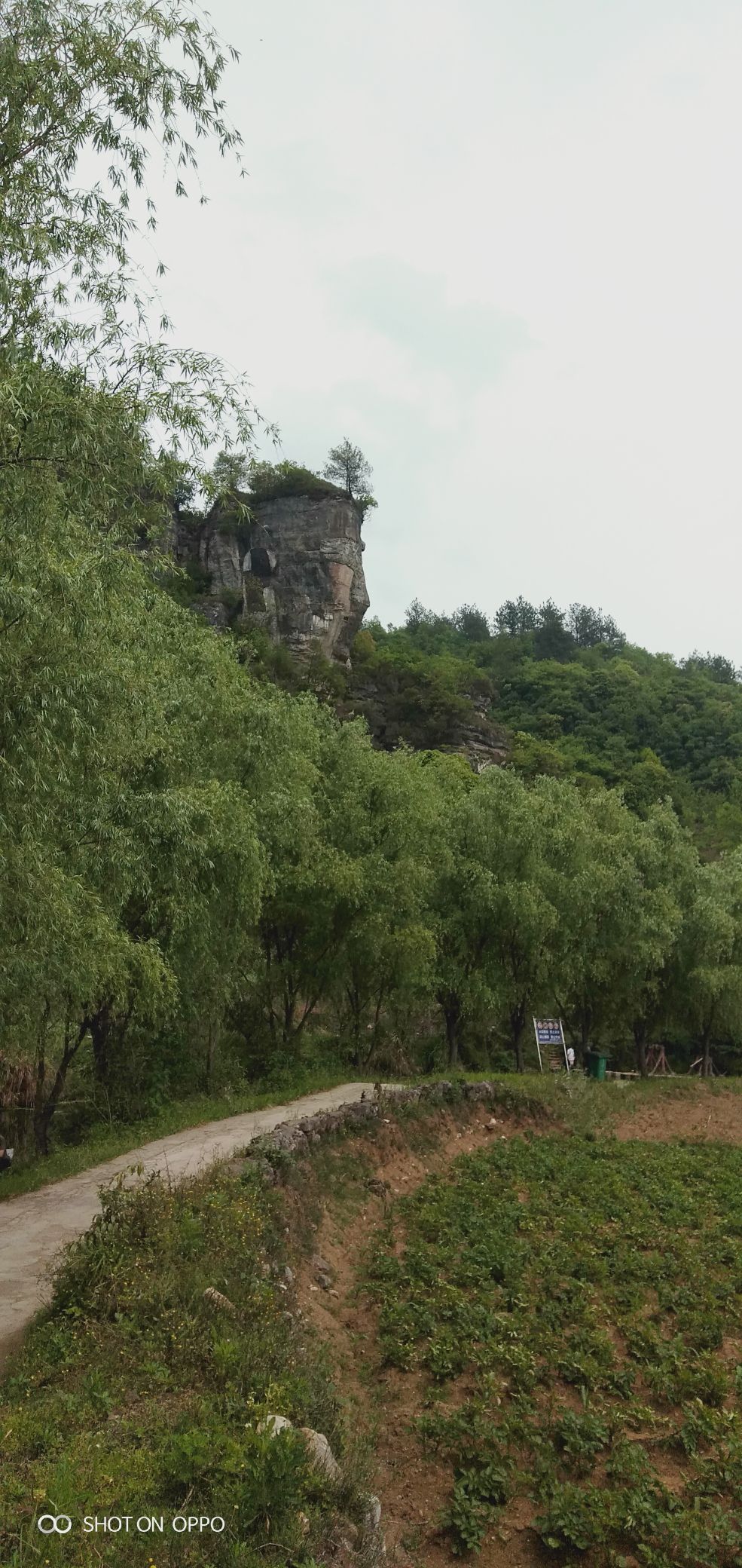 下水大佛旅行图片 1