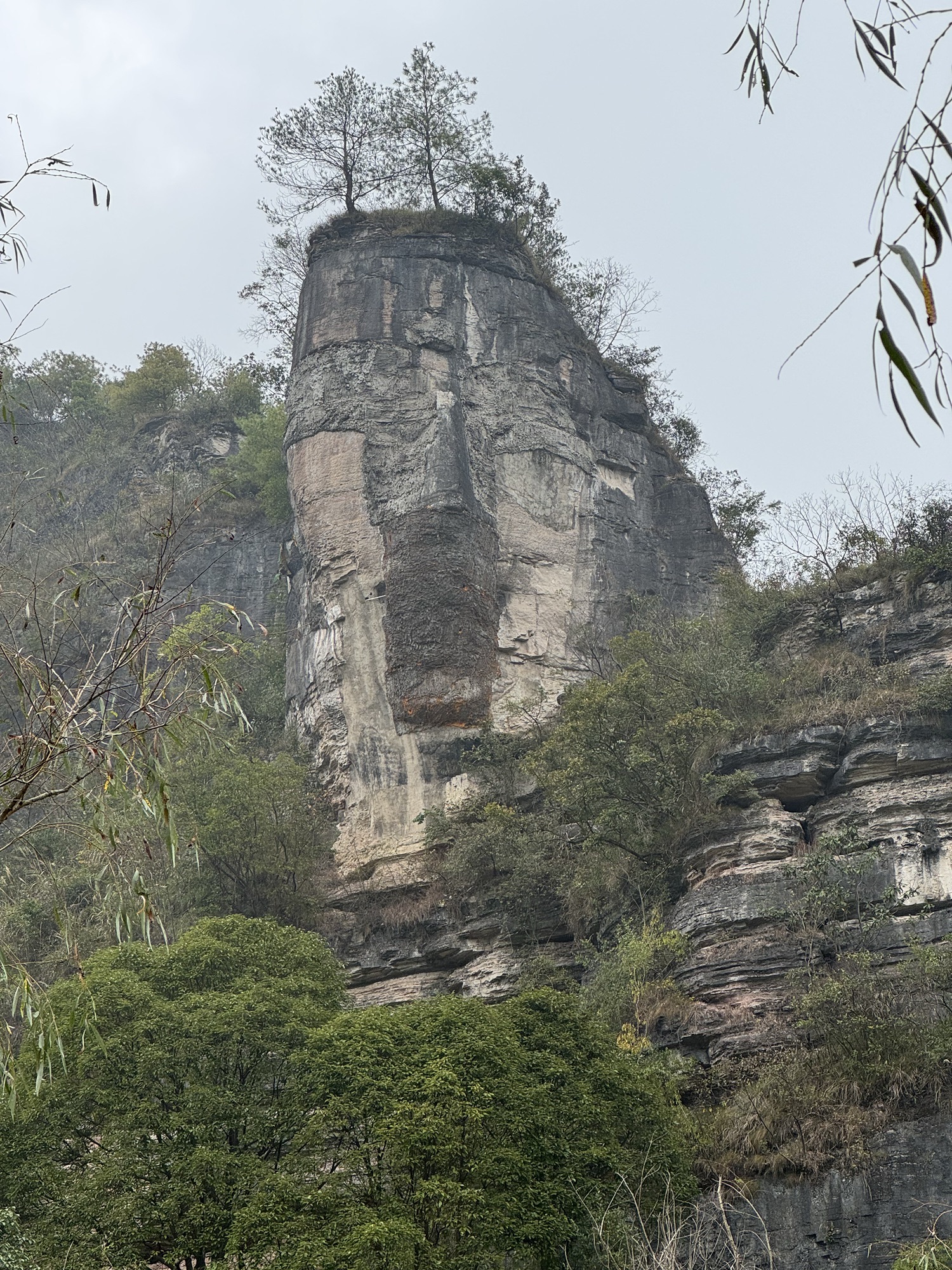 下水大佛旅行图片 1
