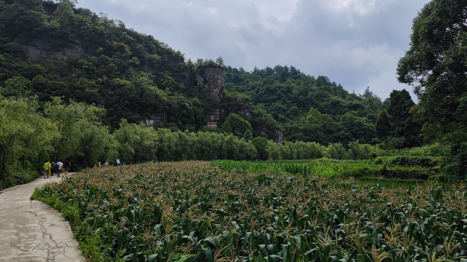 下水大佛旅行图片 2