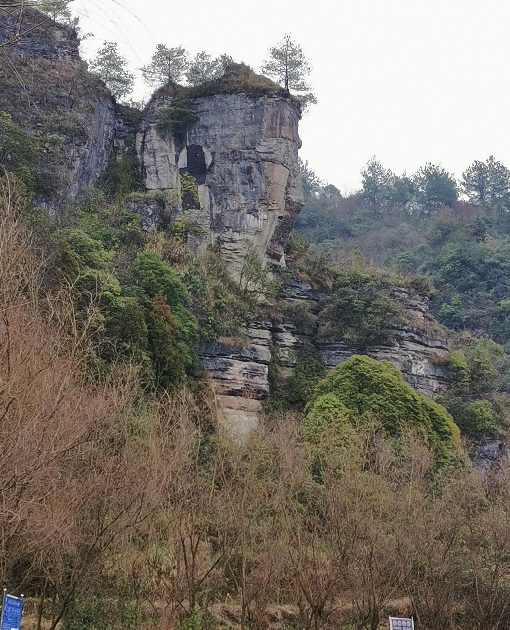 下水大佛旅行图片 2