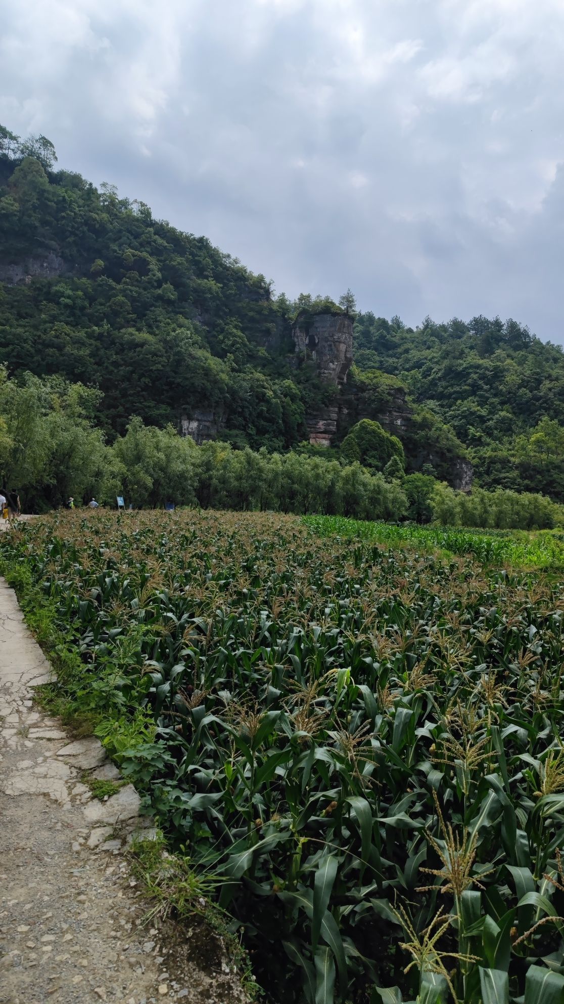 下水大佛旅行图片 3