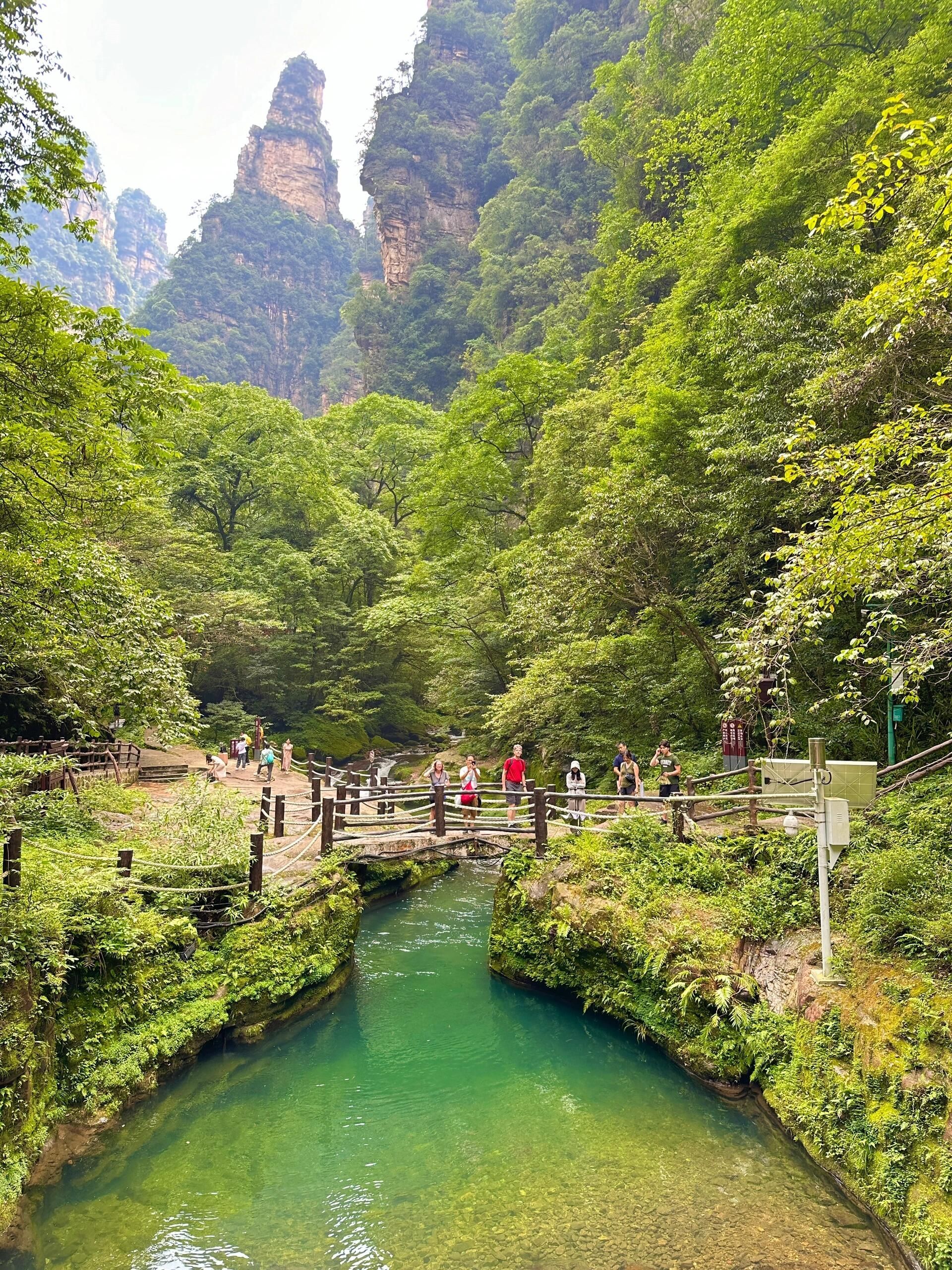天子山风景区旅行图片 3