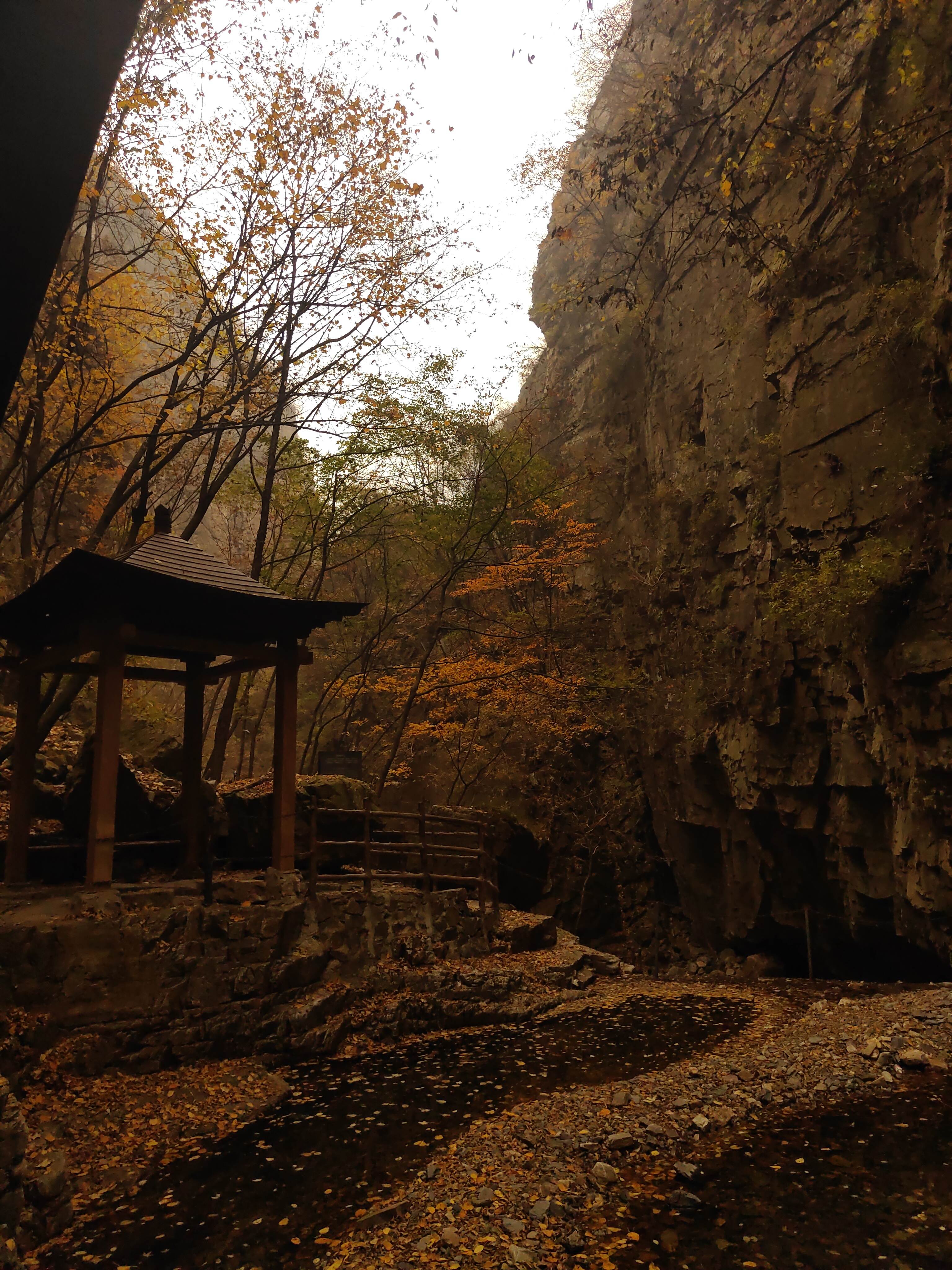 天子山风景区旅行图片 2