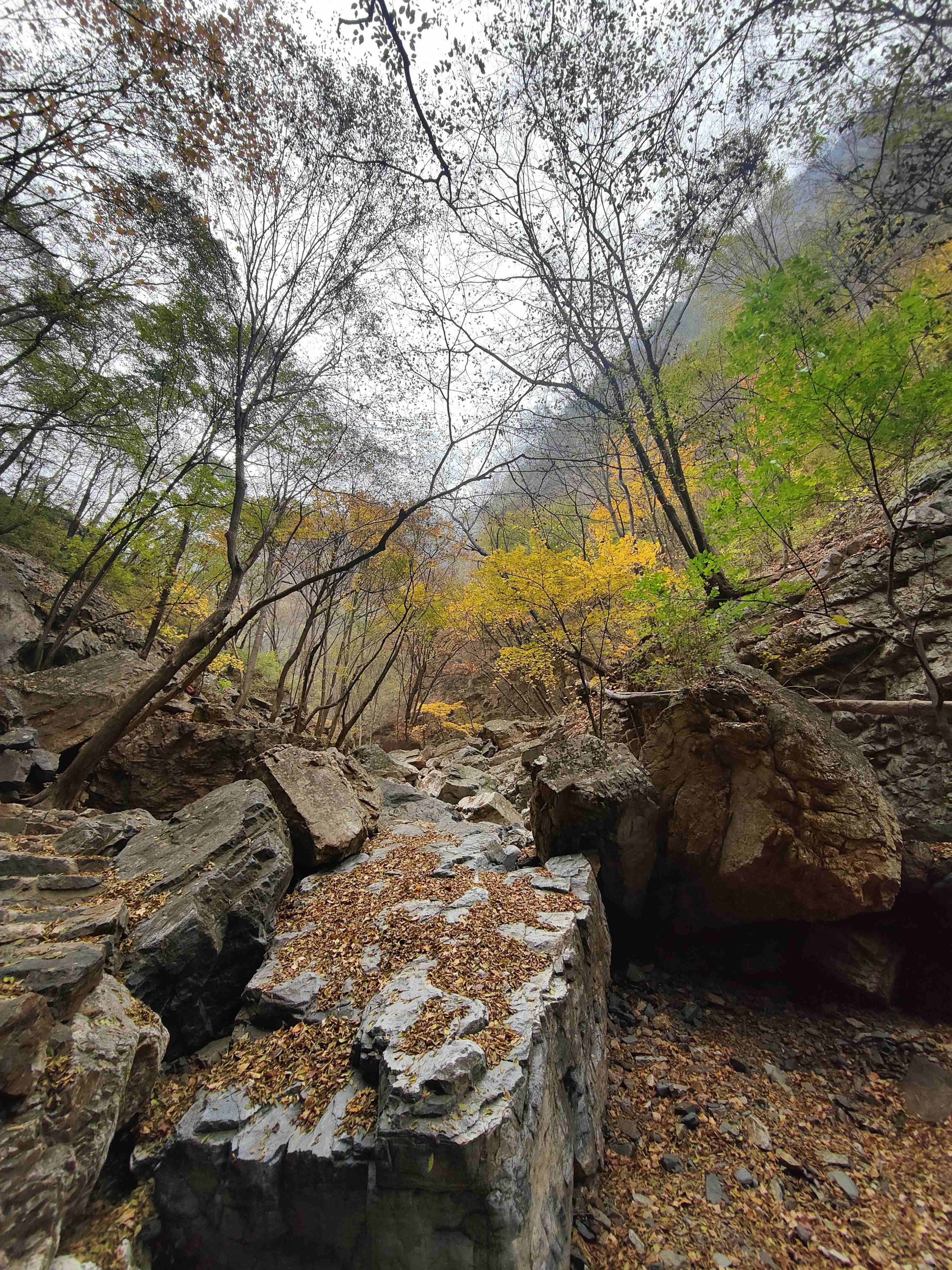 天子山风景区旅行图片 3