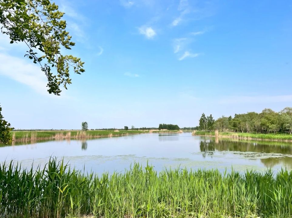 麻大湖国家湿地公园