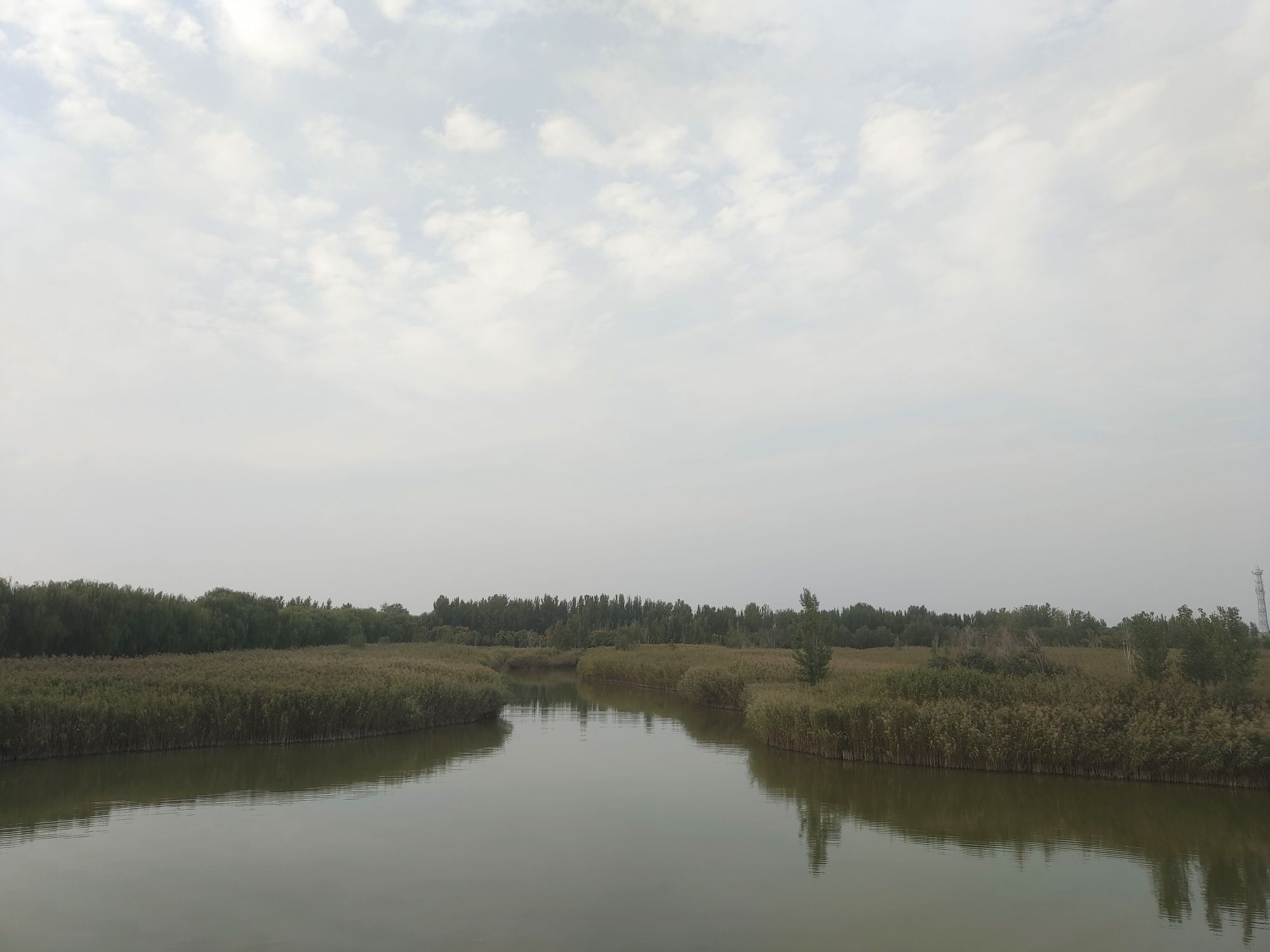 麻大湖国家湿地公园旅行图片 2