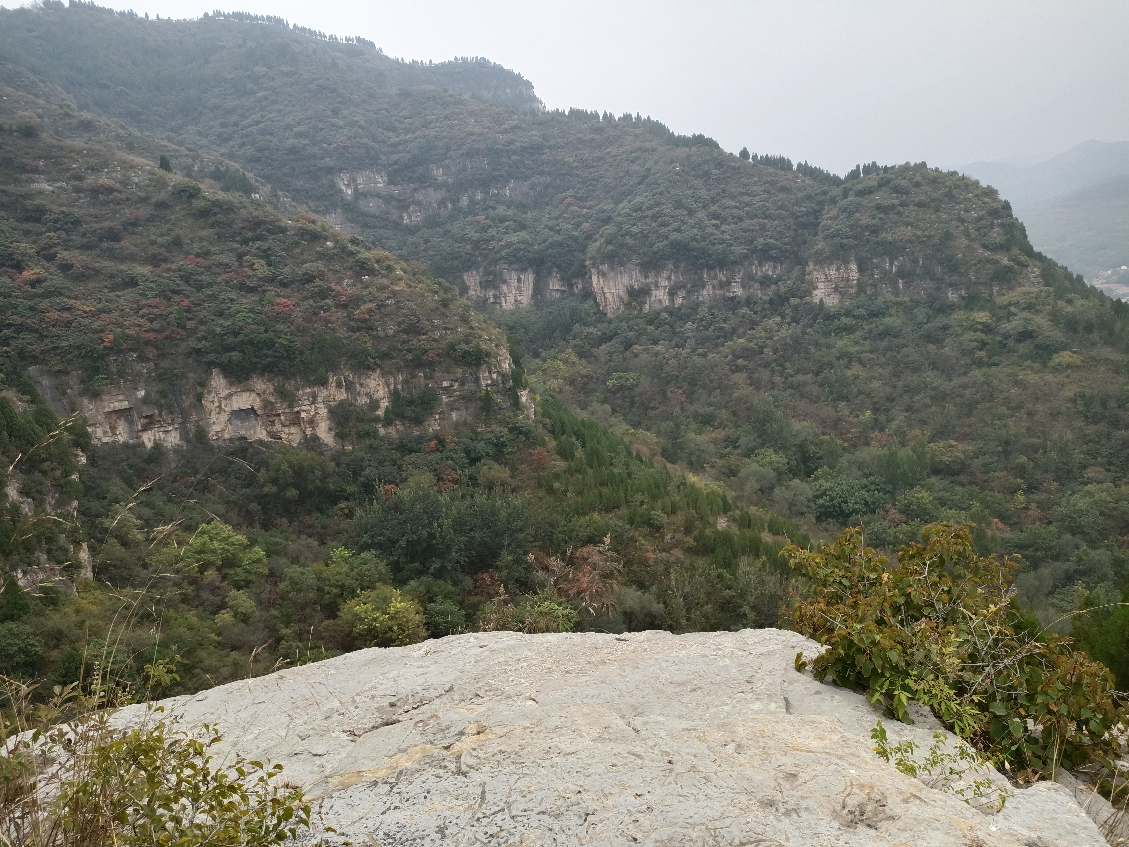 王坟镇兰家村插旗山风景区旅行图片 1