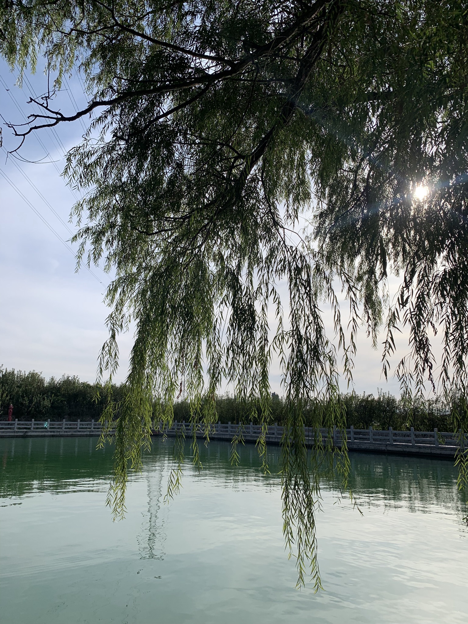 聚相山景区旅行图片 3