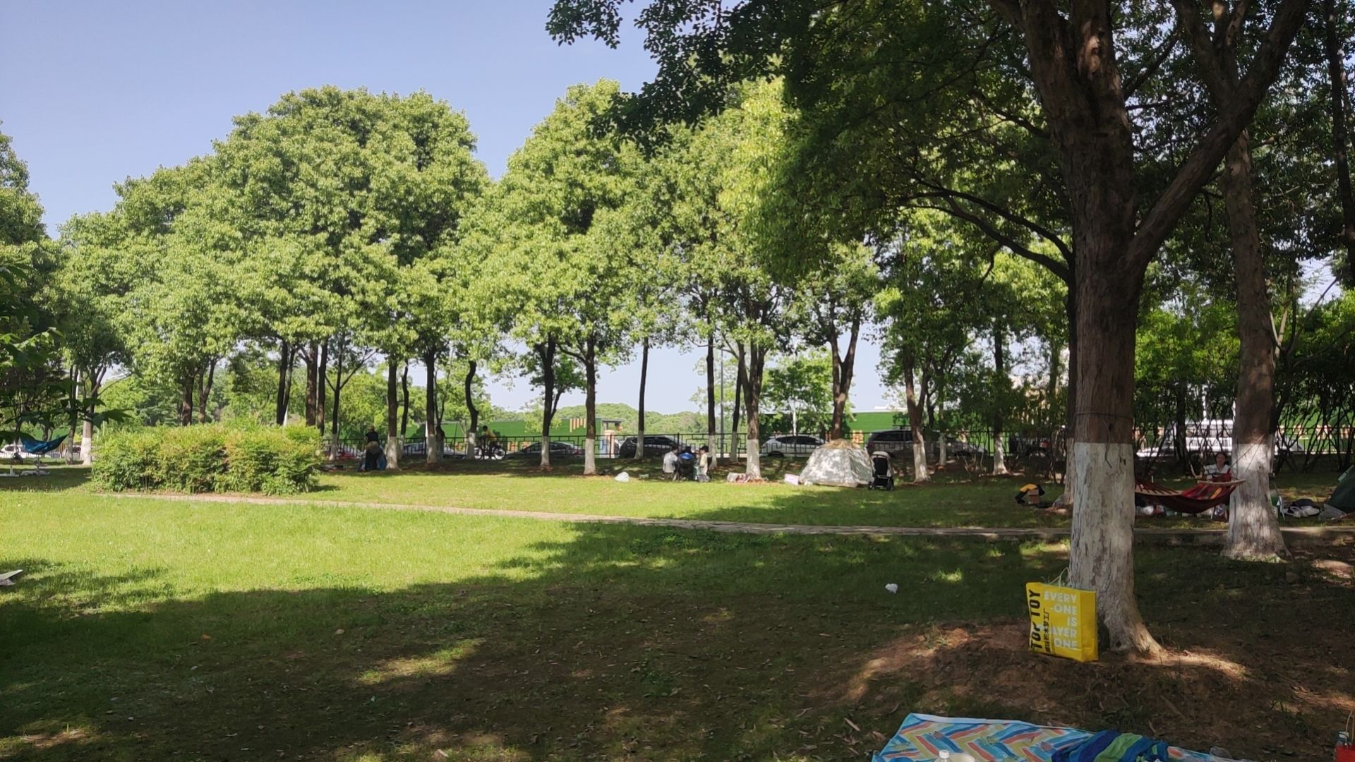 花山生态湿地公园旅行图片 1