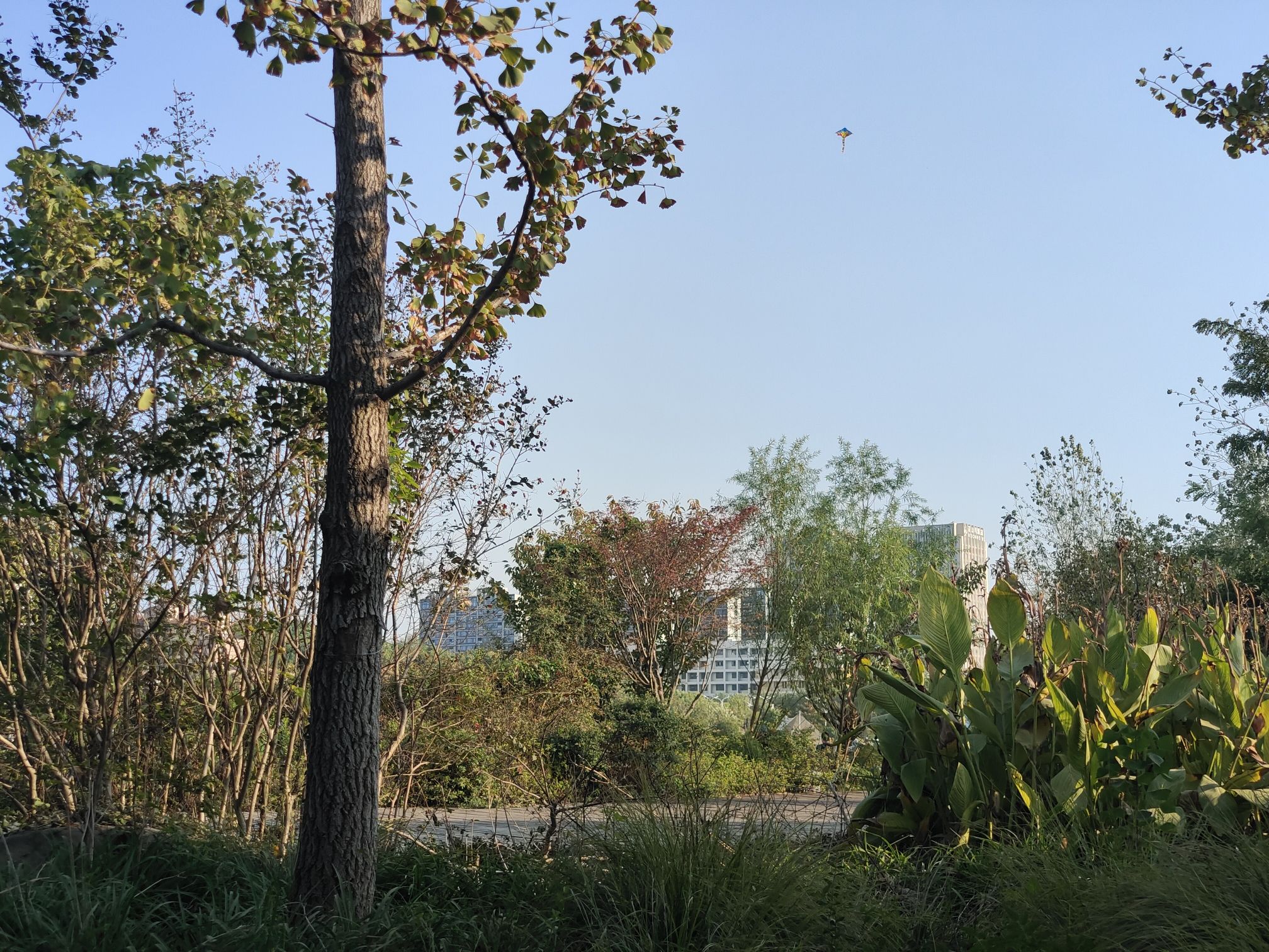 花山生态湿地公园旅行图片 1