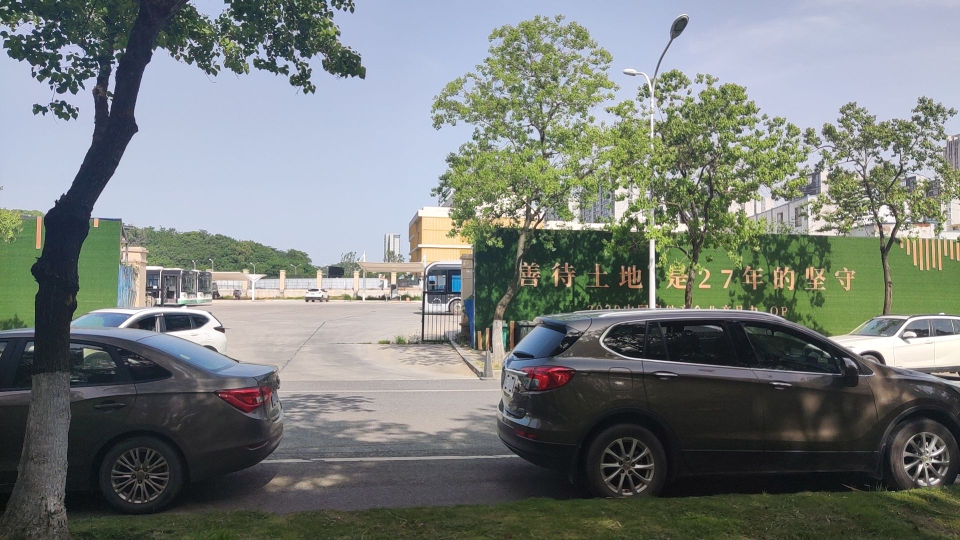 花山生态湿地公园旅行图片 2