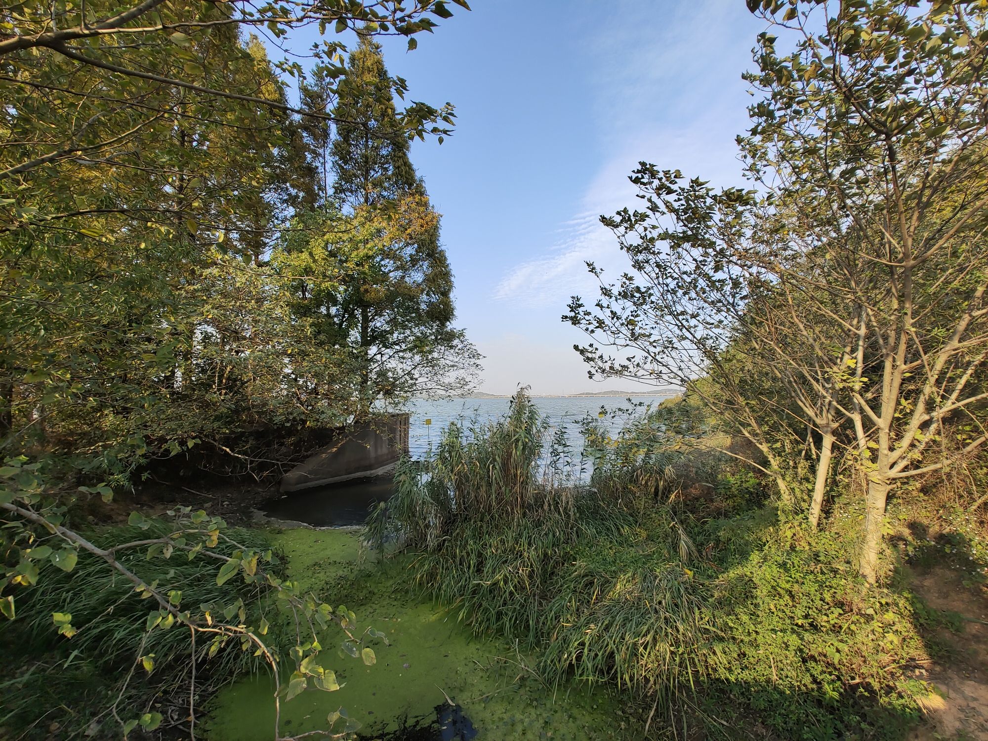 花山生态湿地公园旅行图片 3