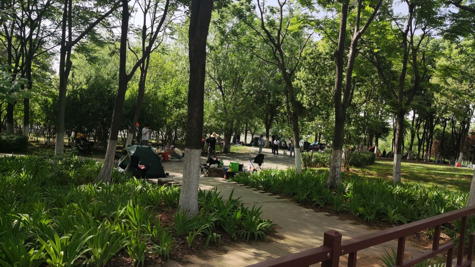 花山生态湿地公园旅行图片 3