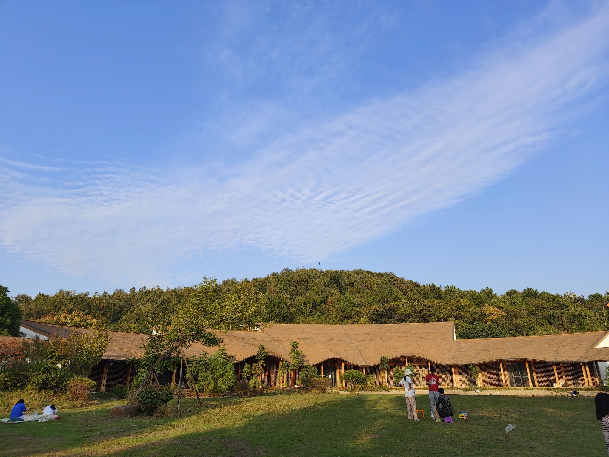 花山生态湿地公园旅行图片 2