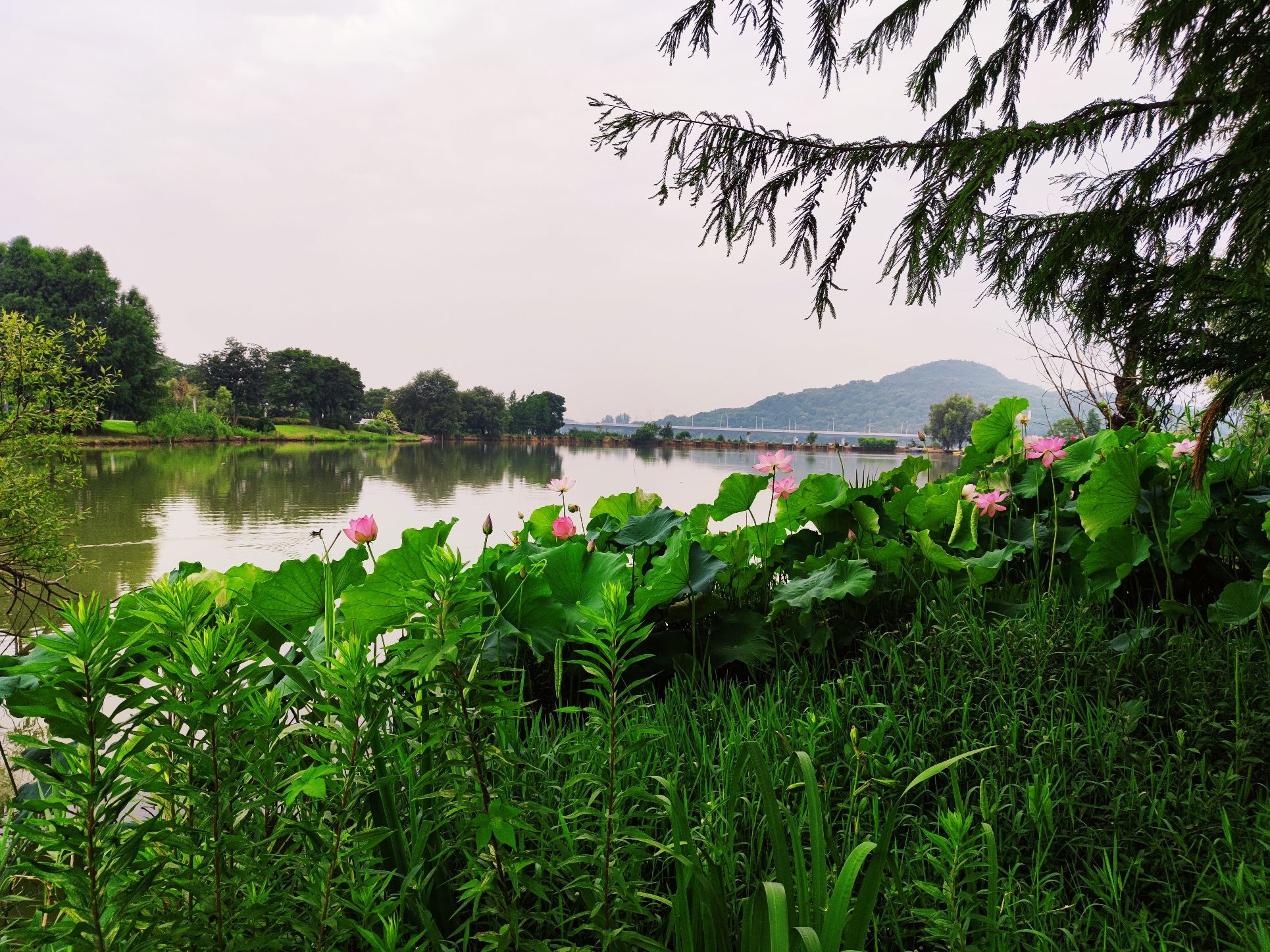 花山生态湿地公园旅行图片 1