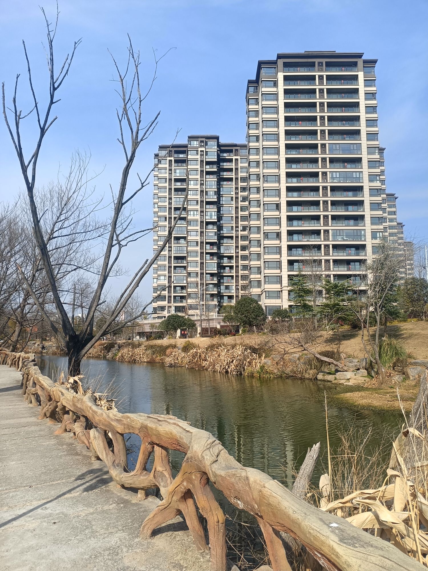 龟山公园旅行图片 2