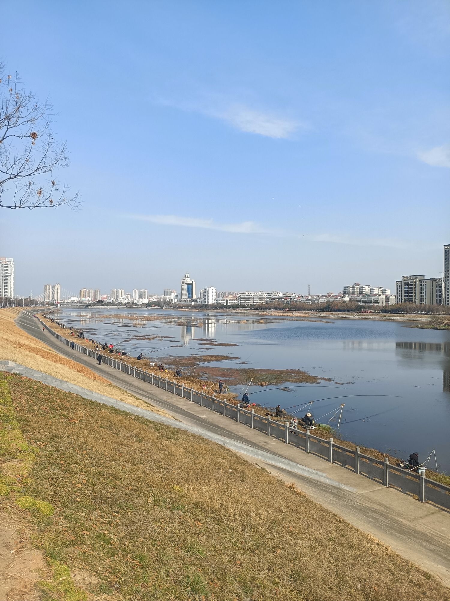 龟山公园旅行图片 1