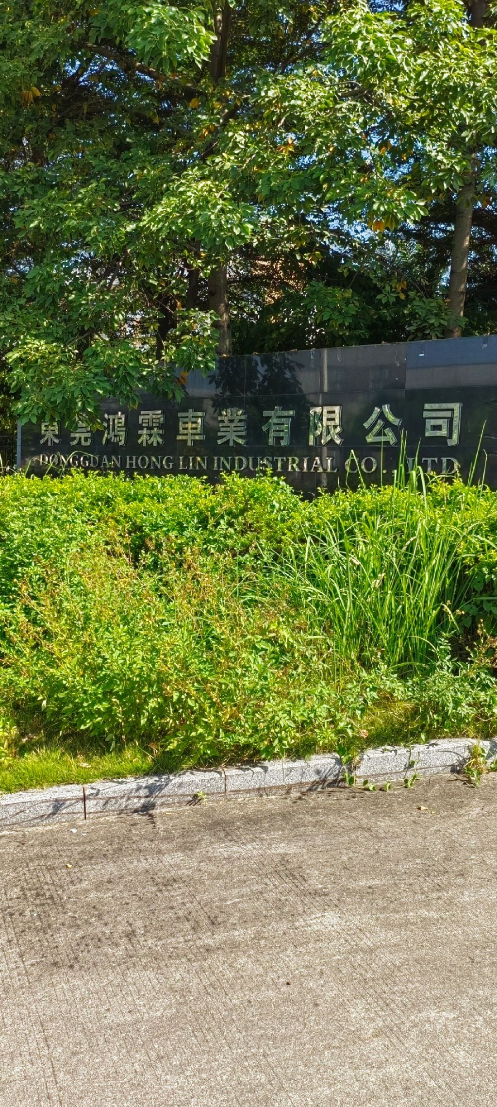 东莞鸿霖车业有限公司