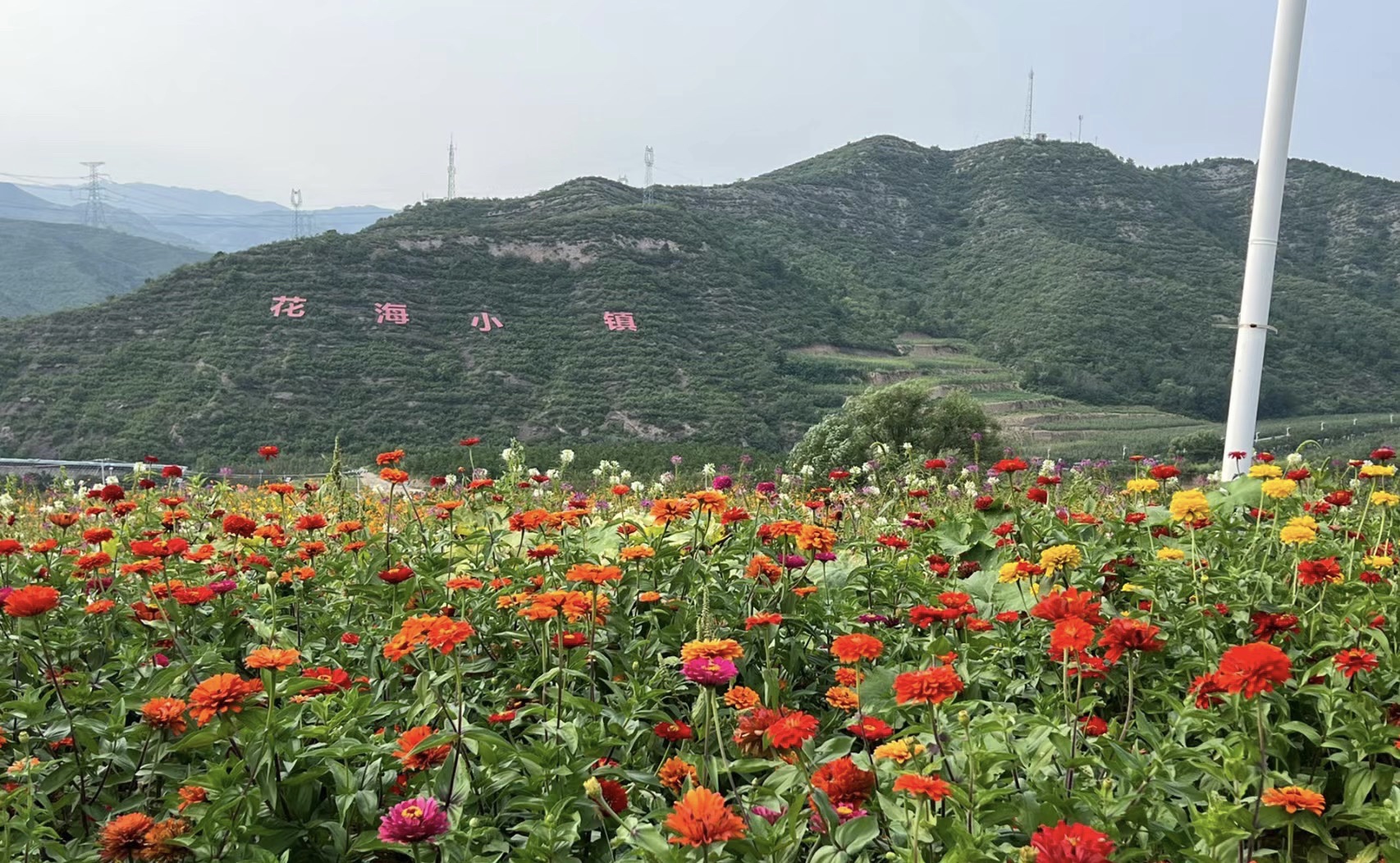热河中药花海小镇旅行图片 3
