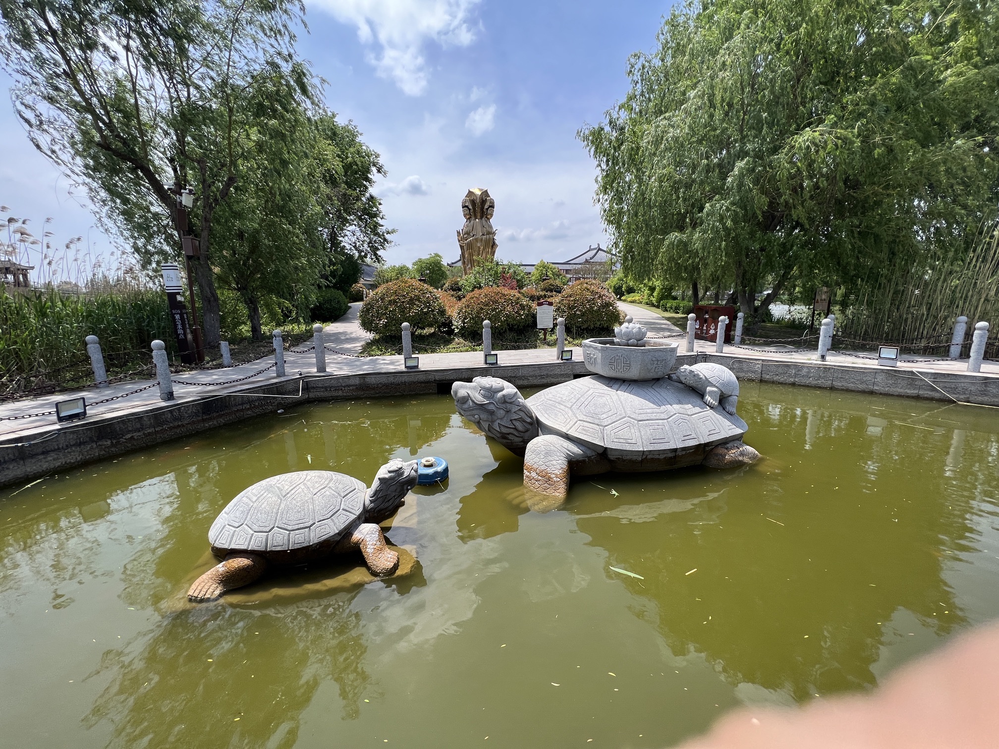 阜宁县马家荡旅游景区旅行图片 2