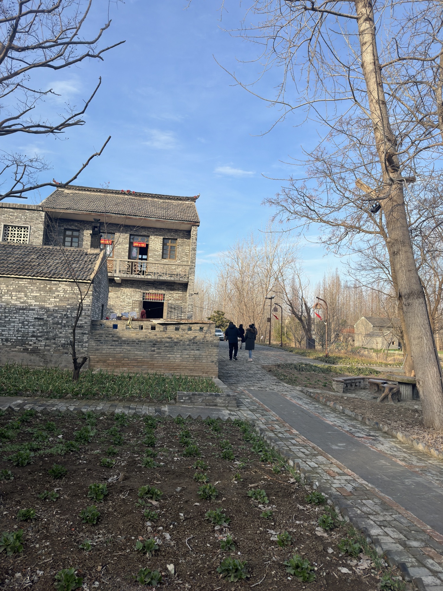 阜宁县马家荡旅游景区旅行图片 2