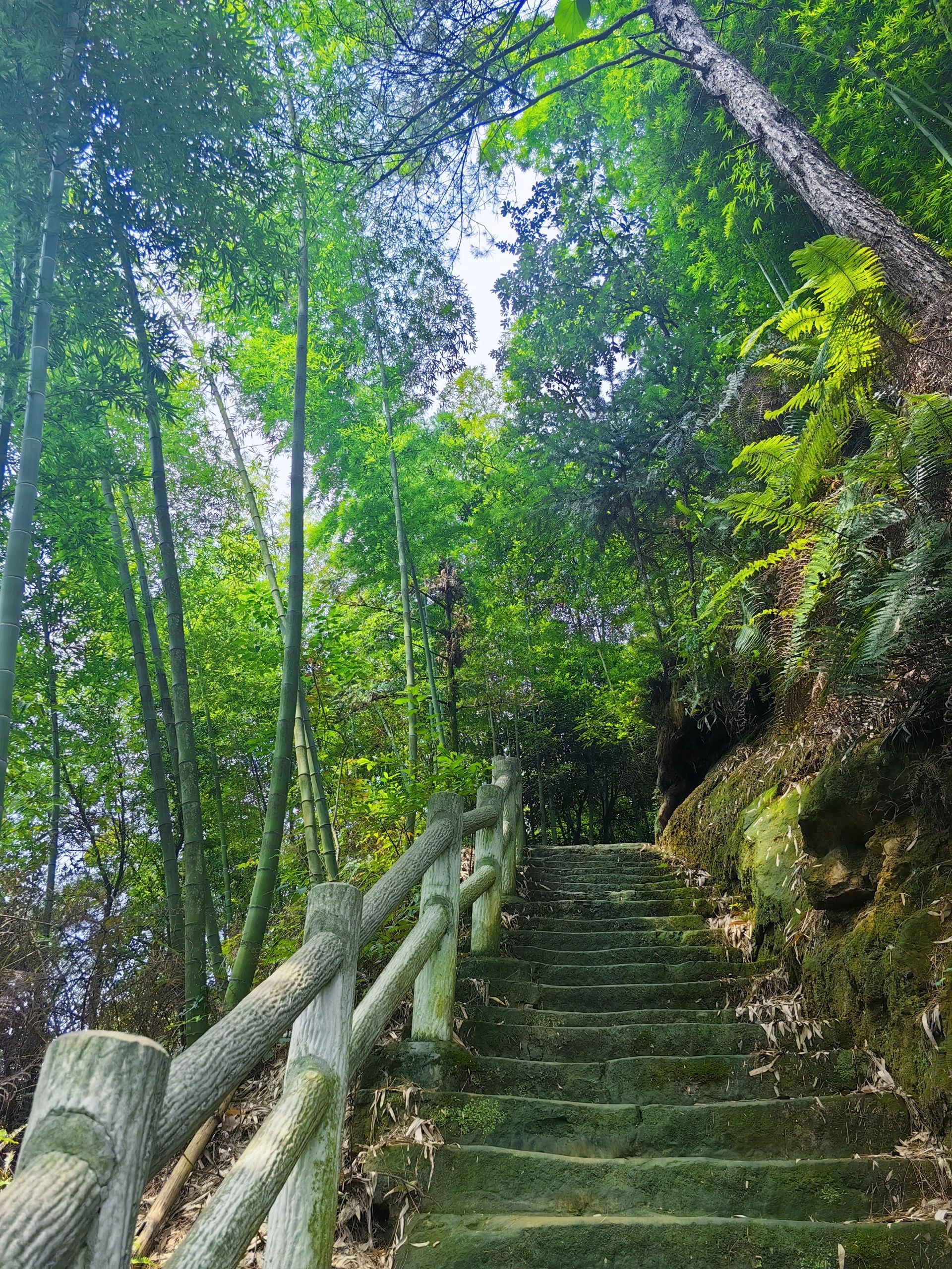 荣县花龙沟旅行图片 2
