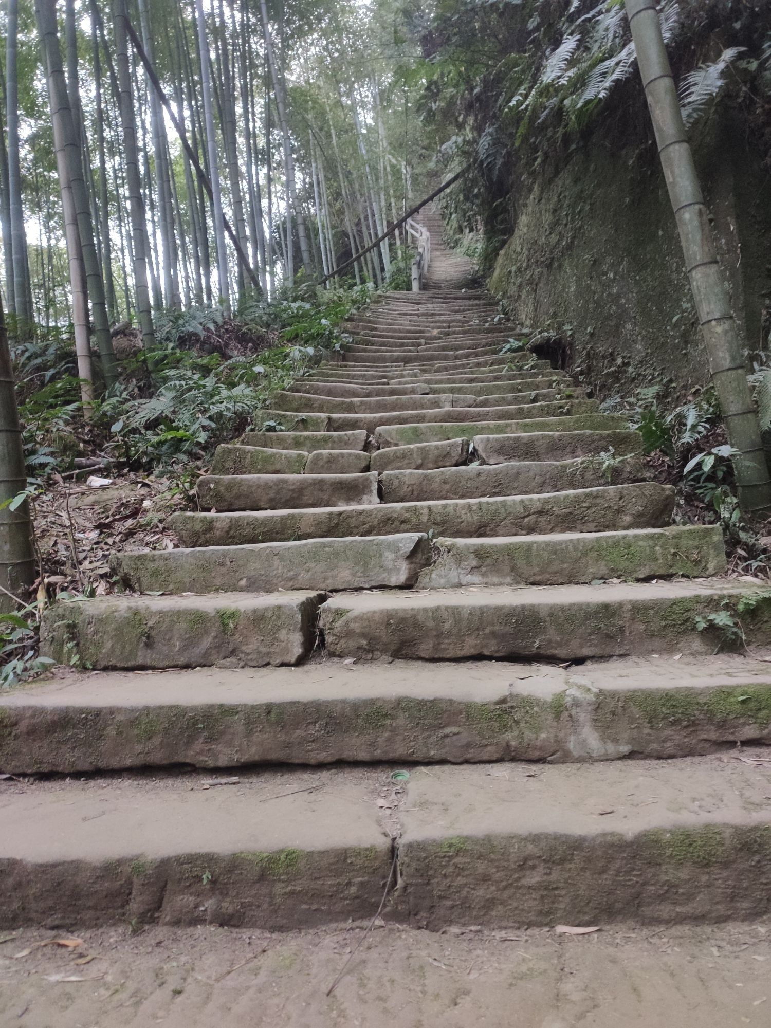 荣县花龙沟旅行图片 3