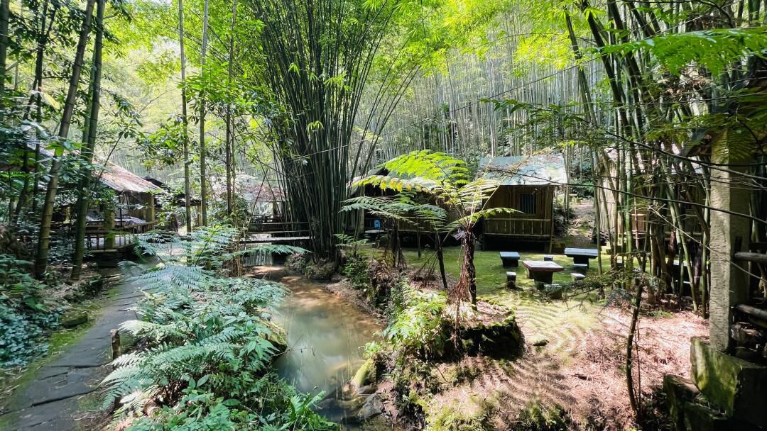 荣县花龙沟旅行图片 3