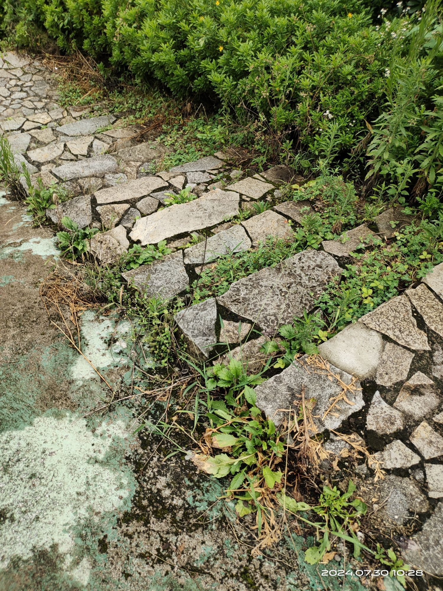 凤凰花果山景区旅行图片 3