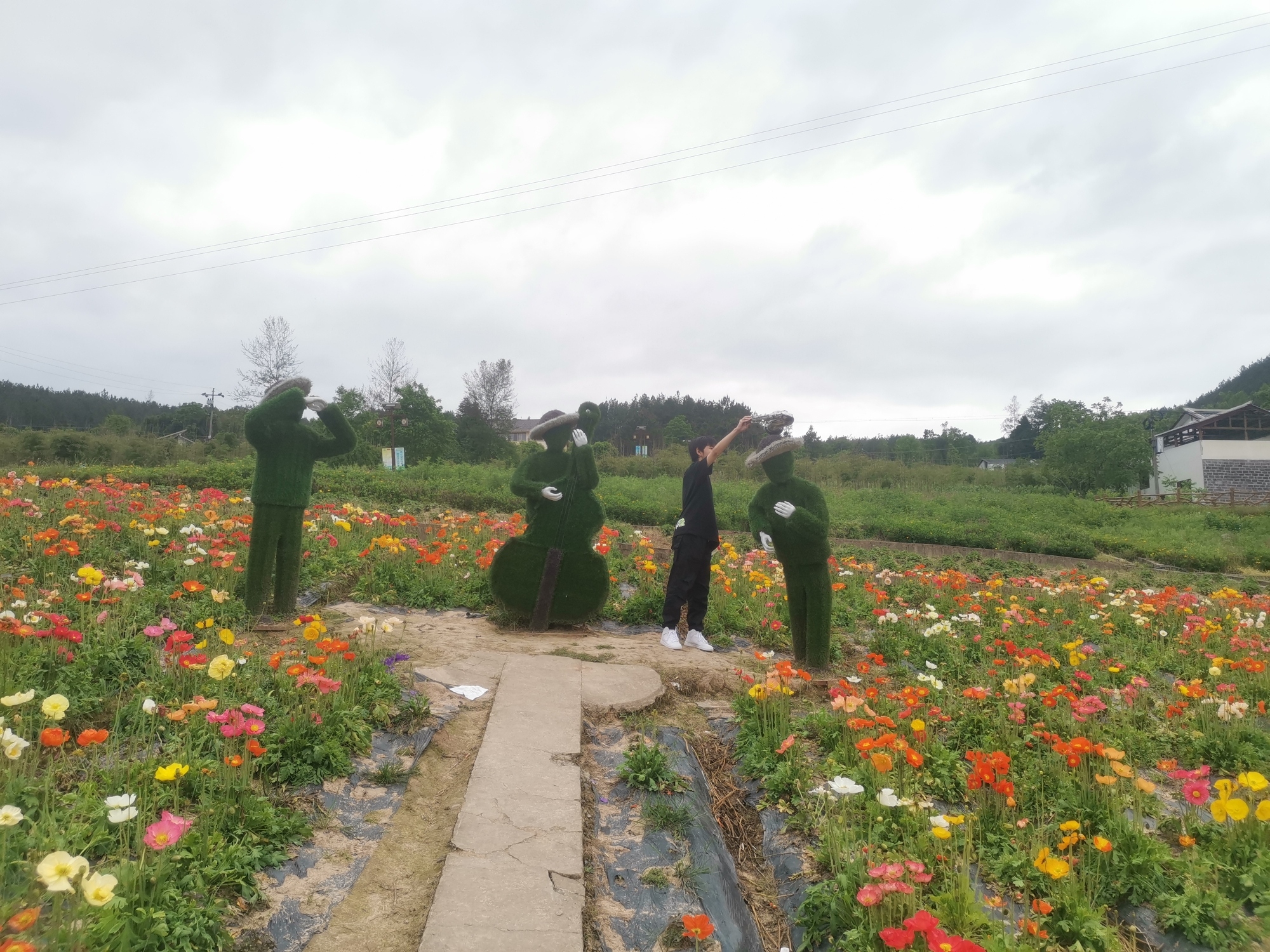 凤凰花果山景区旅行图片 1