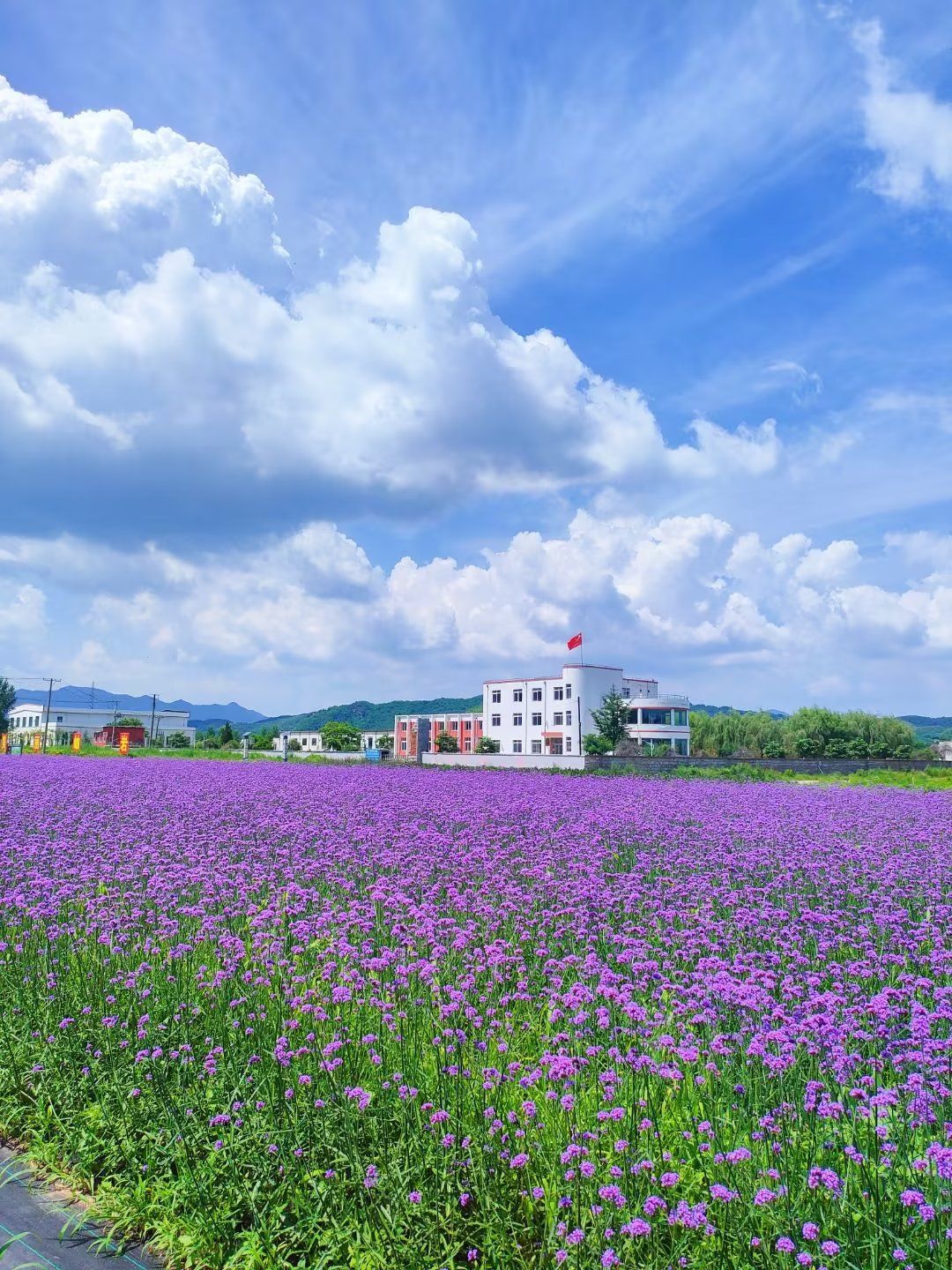 岫岩湿地生态农业园旅行图片 3