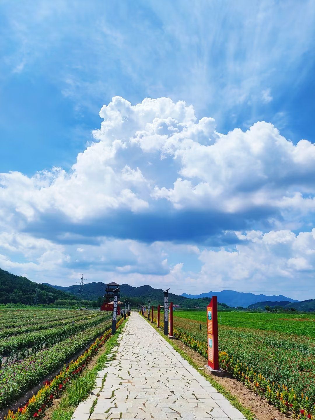 岫岩湿地生态农业园