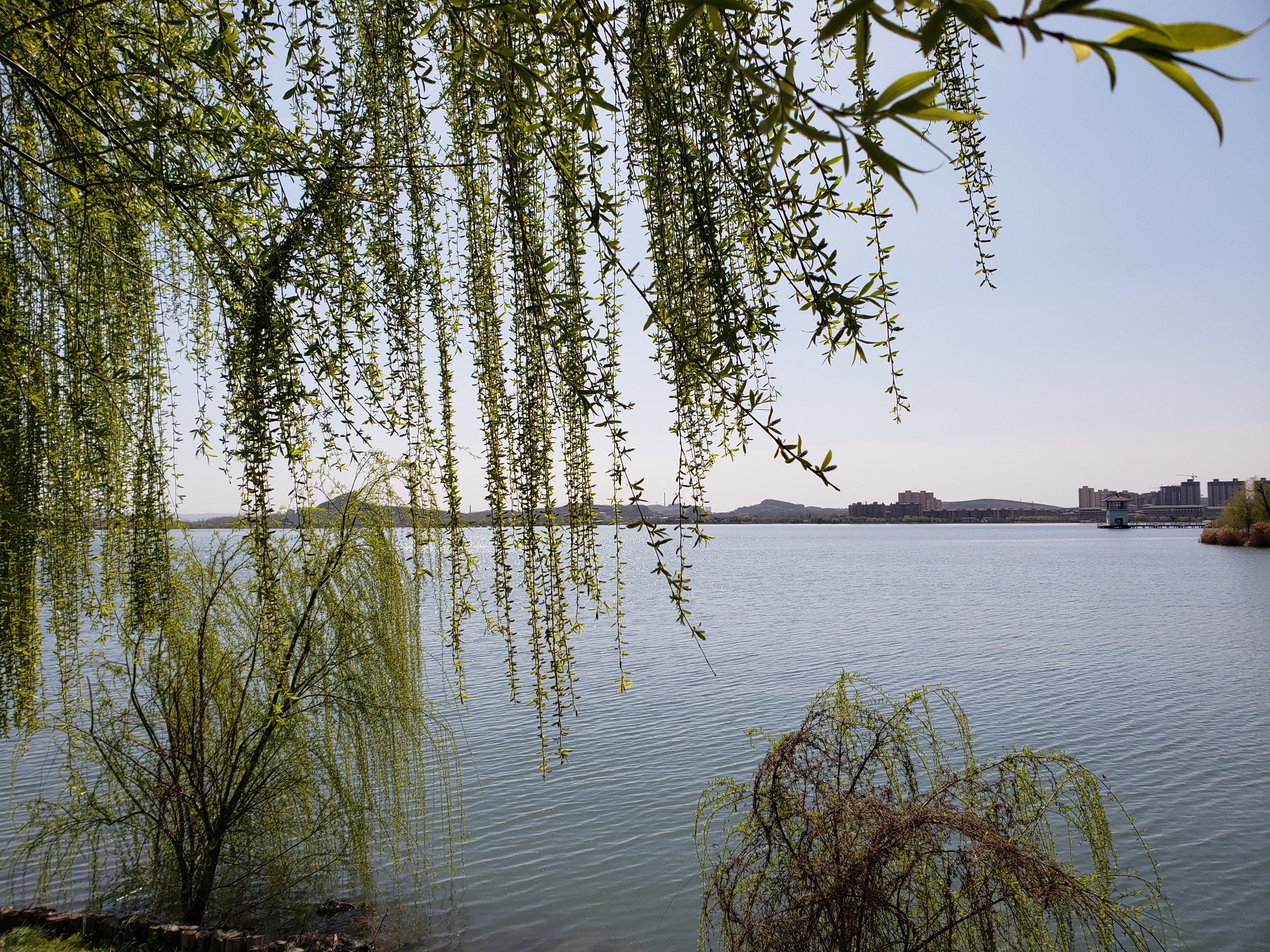 南湖湿地公园旅行图片 1