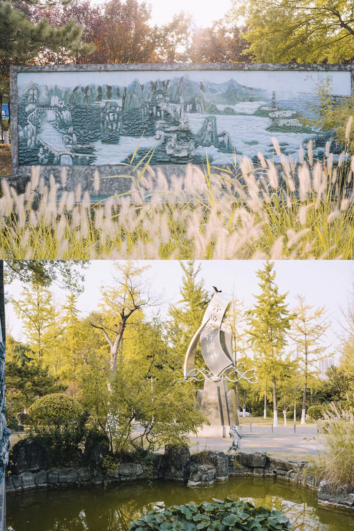 临沂园