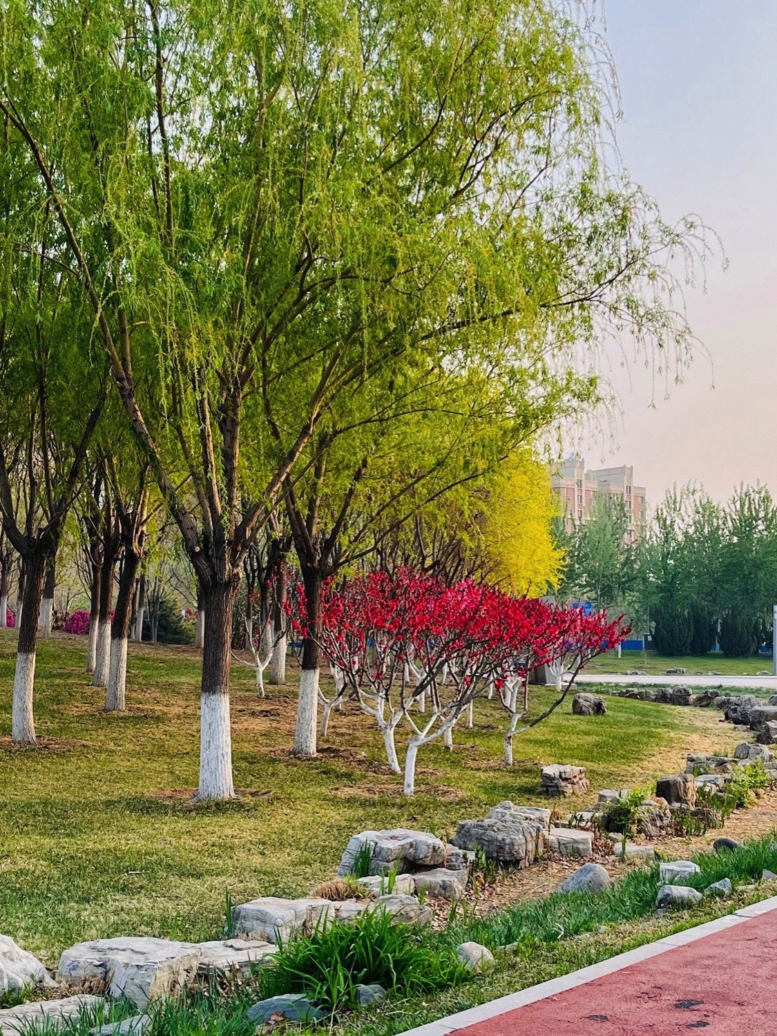张家窝中心公园旅行图片 1
