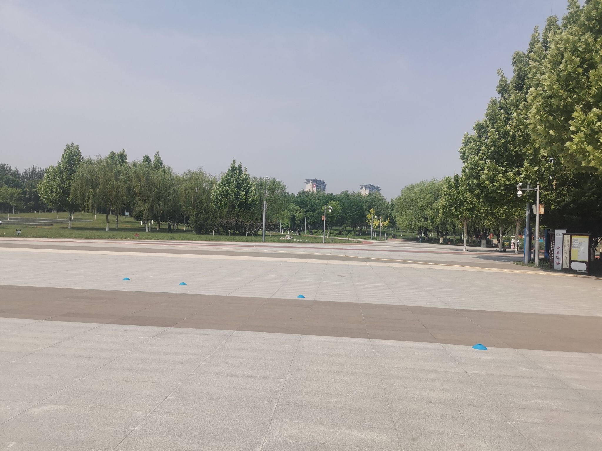 张家窝中心公园旅行图片 3