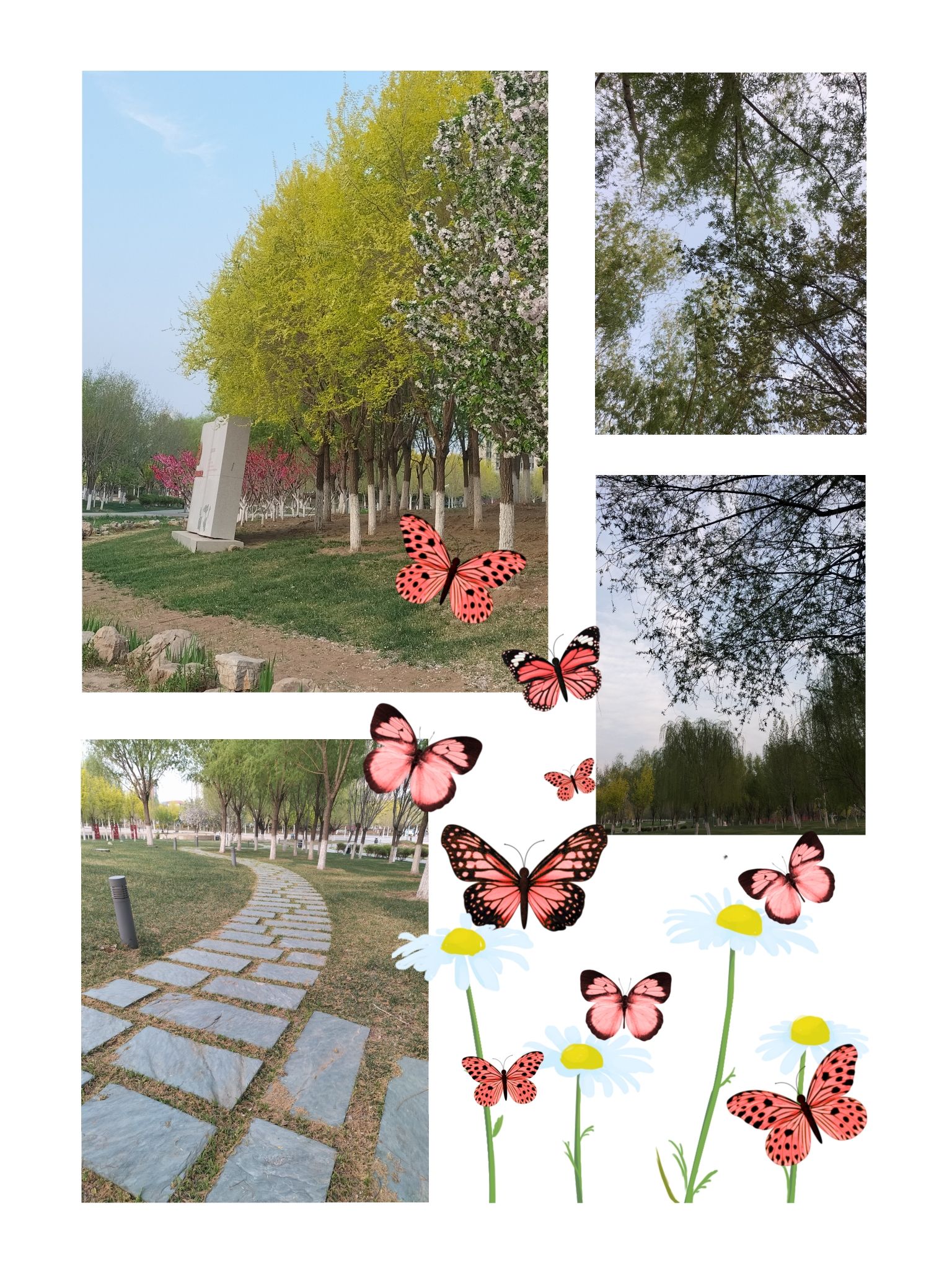 张家窝中心公园旅行图片 2