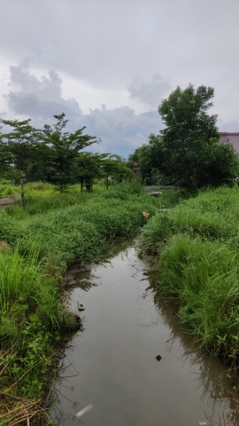 白塔镇元联人工湿地公园旅行图片 3