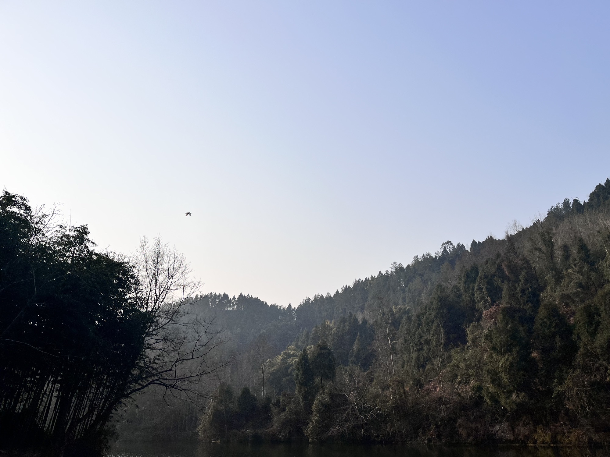 国家森林公园玉带峡景区旅行图片 3