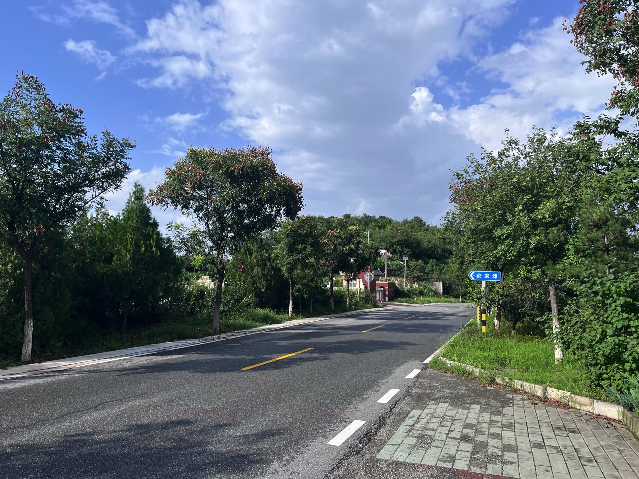 北区安家滩生态观光园旅行图片 1
