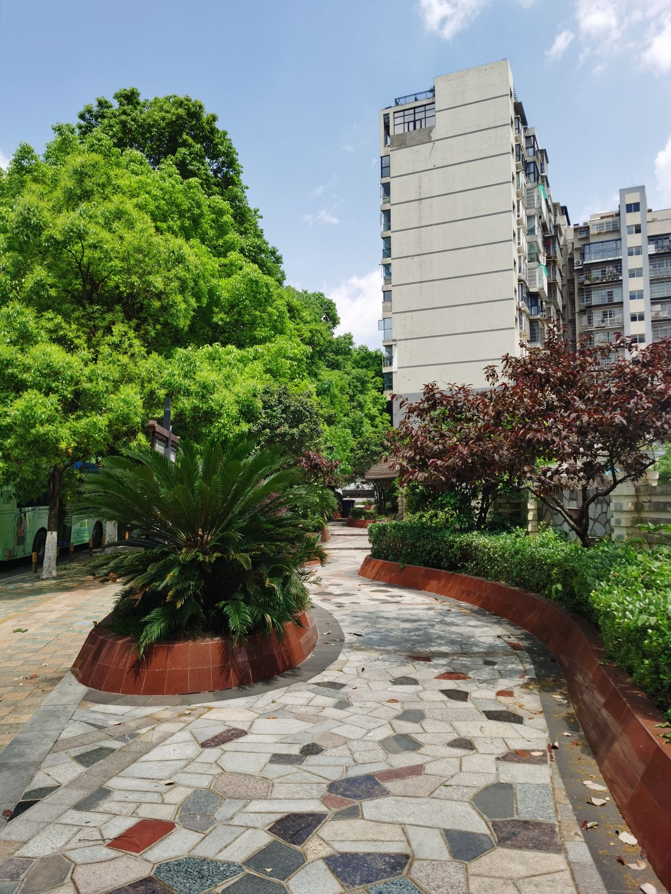 花卉广场城市公园旅行图片 2