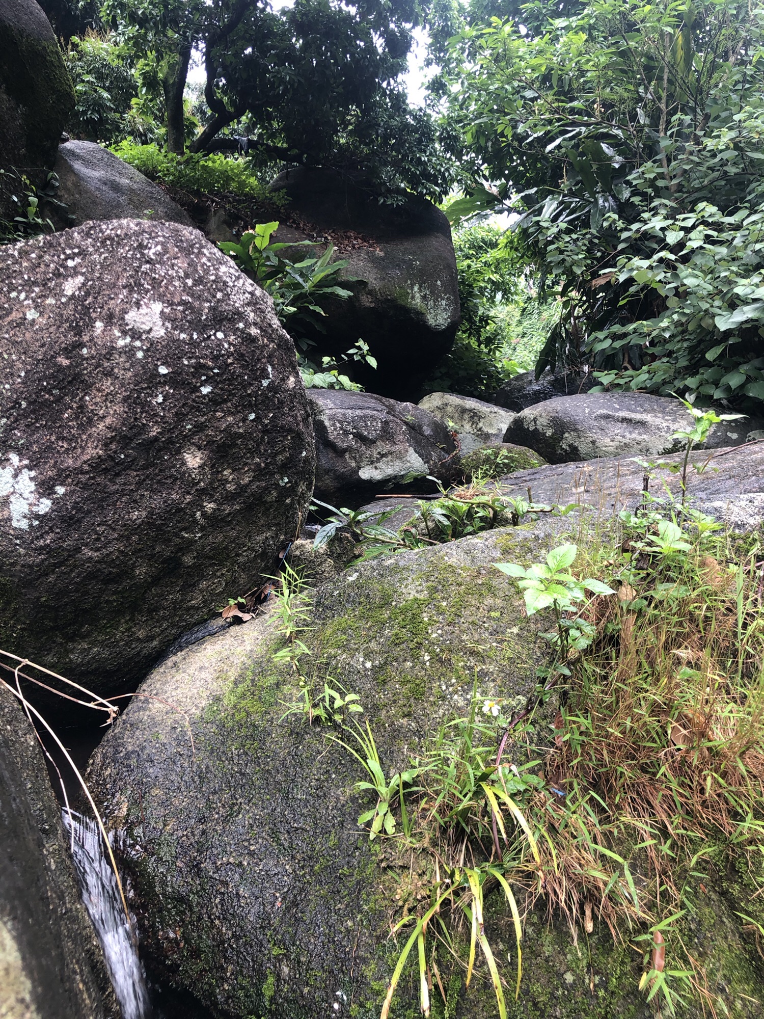 高林情人谷旅游区旅行图片 2