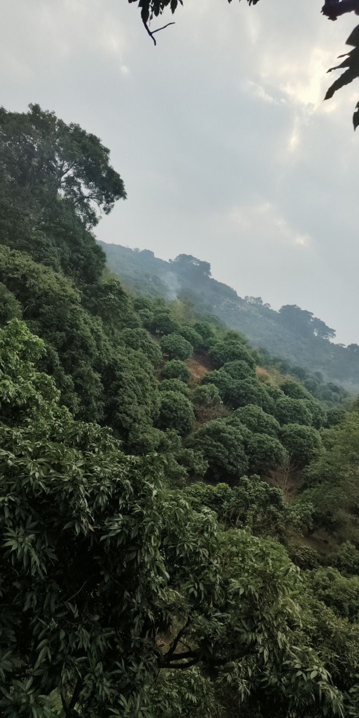 高林情人谷旅游区旅行图片 2