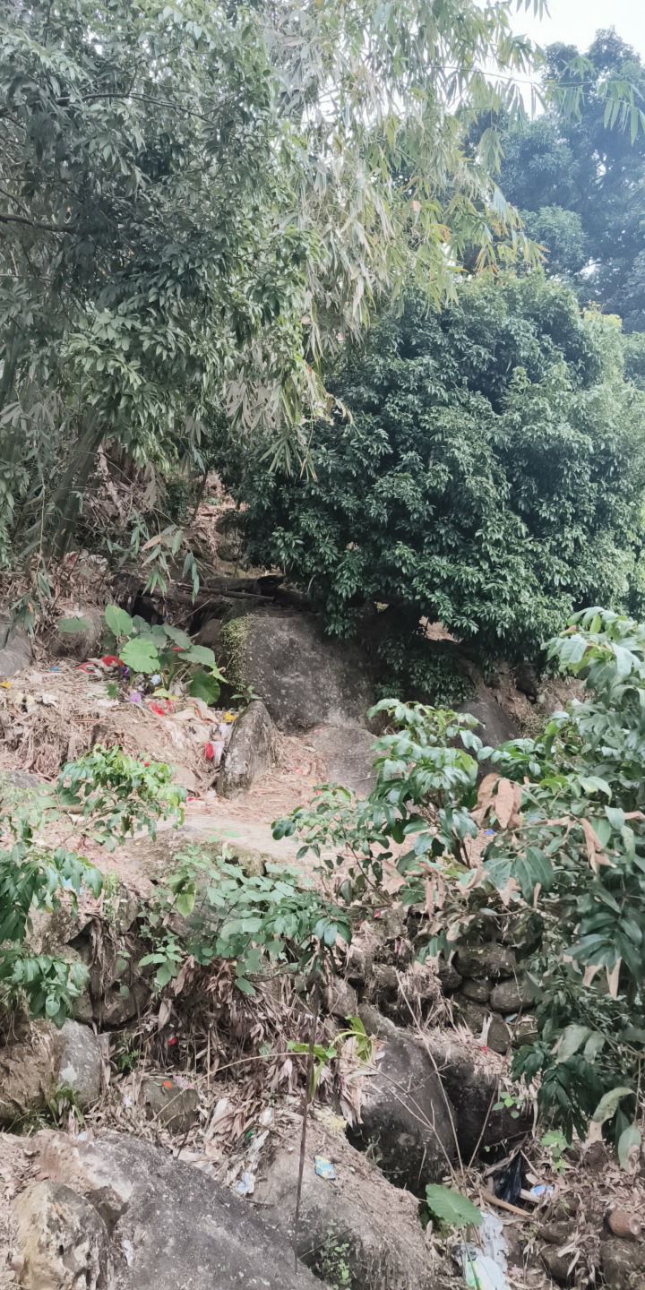 高林情人谷旅游区旅行图片 1